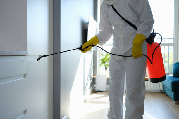 Best Office Mold Removal Services  in Rainbow City, AL